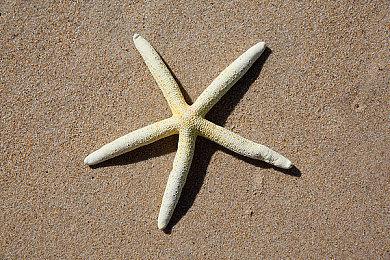 动视限制《使命召唤》加速器玩家：已下调匹配Ping上限